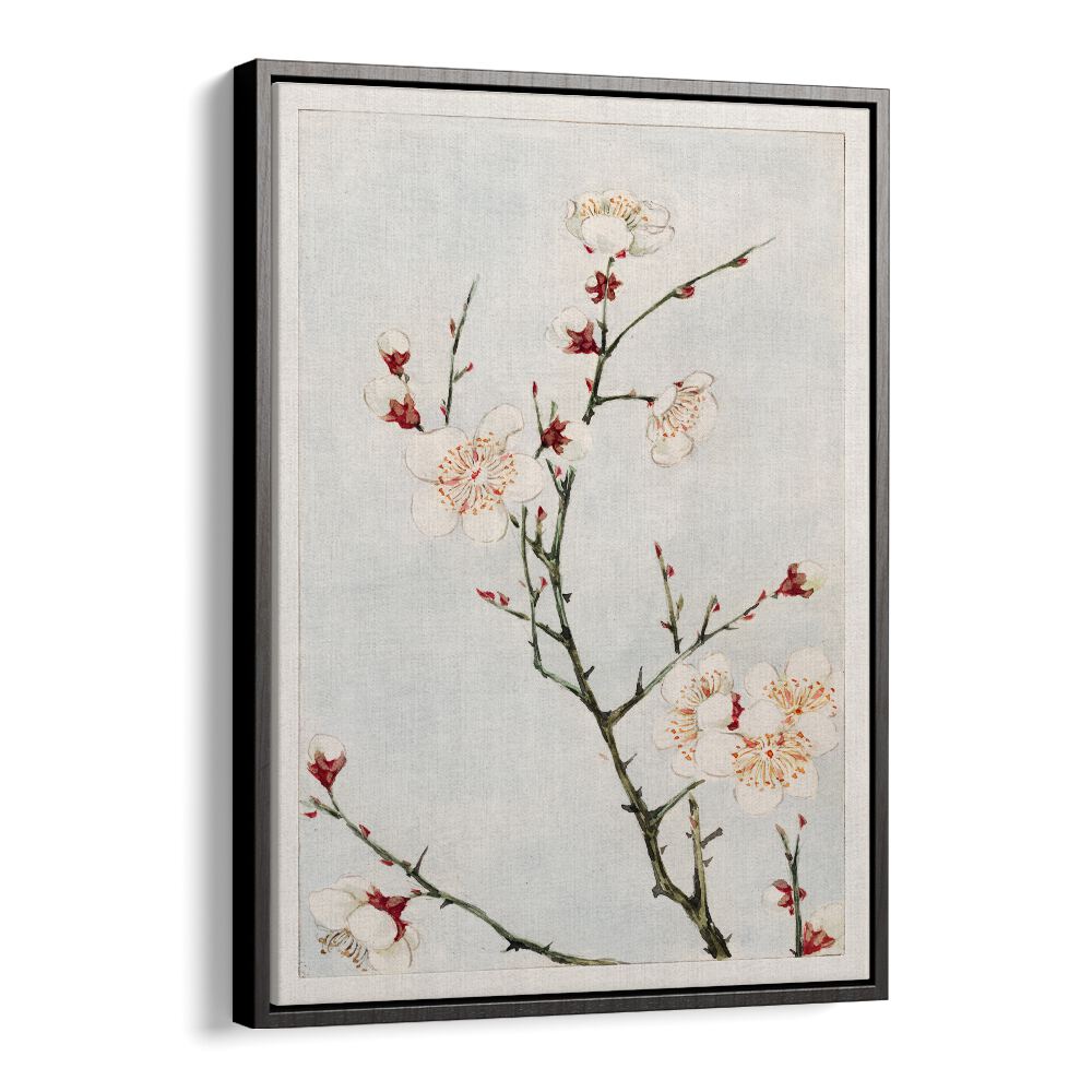 Plum Branches With Blossoms (1870-1880) Japanese Art Artwork in Black Floater Frame
