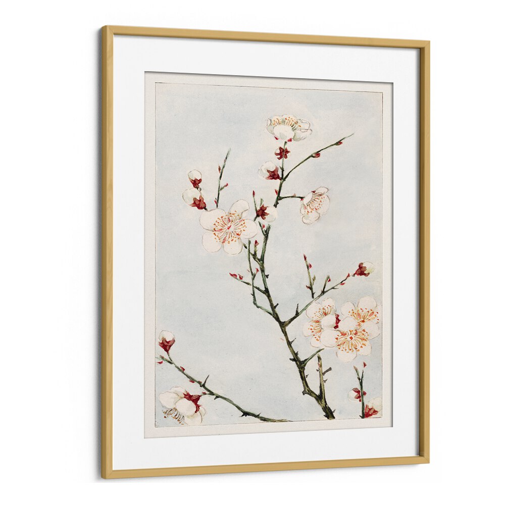 Plum Branches With Blossoms (1870-1880) Japanese Art Artwork in Oak Wood Frame With Mount
