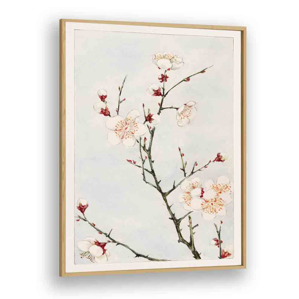 Plum Branches With Blossoms (1870-1880) Japanese Art Artwork in Oak Wood Plain Frame
