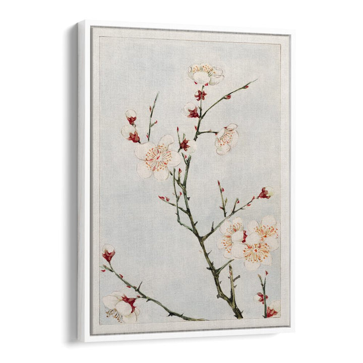 Plum Branches With Blossoms (1870-1880) Japanese Art Artwork in White Floater Frame
