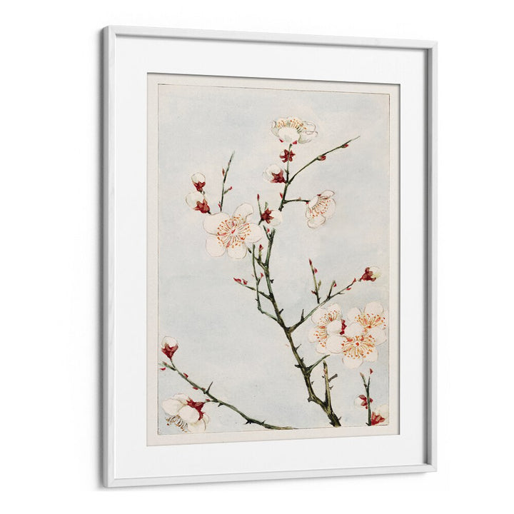 Plum Branches With Blossoms (1870-1880) Japanese Art Artwork in White Frame With Mount
