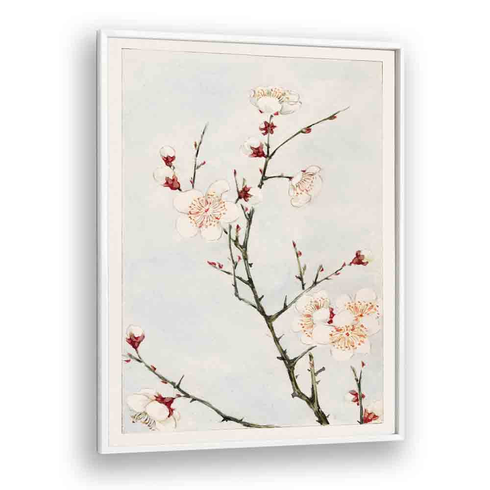 Plum Branches With Blossoms (1870-1880) Japanese Art Artwork in White Plain Frame
