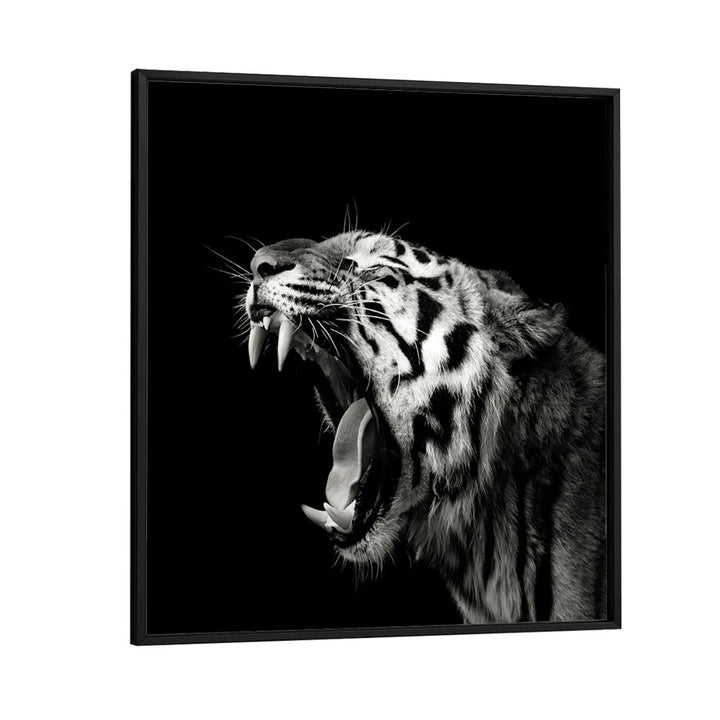 PRIMAL YAWN II WILDLIFE PHOTOGRAPHY in Black Plain Frame