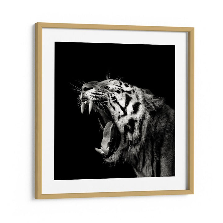 PRIMAL YAWN II WILDLIFE PHOTOGRAPHY in Oak Wood Frame With Mount