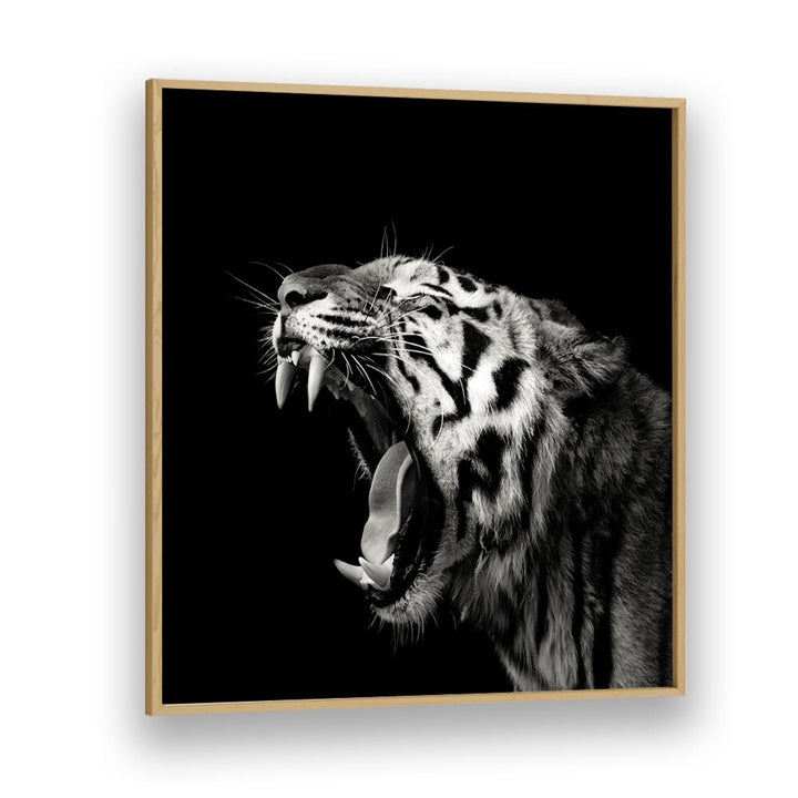 PRIMAL YAWN II WILDLIFE PHOTOGRAPHY in Oak Wood Plain Frame