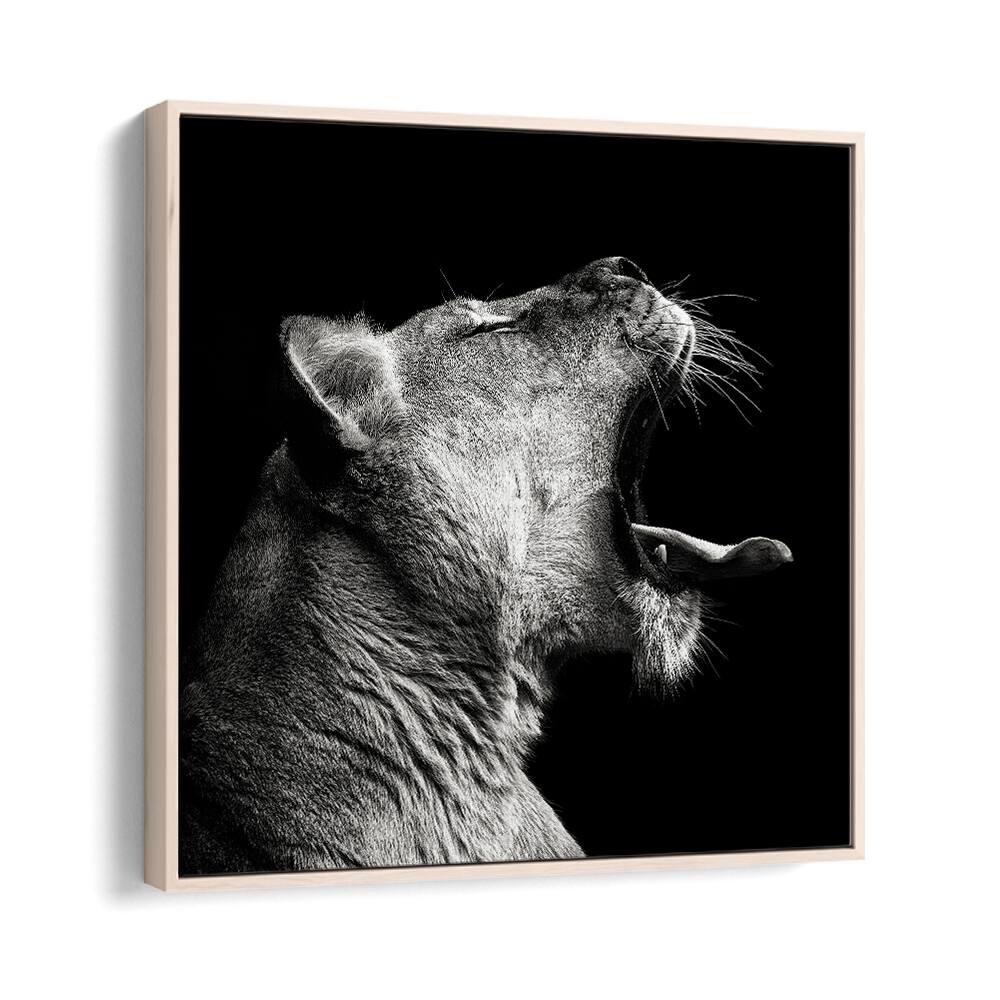 PRIMAL YAWN WILDLIFE PHOTOGRAPHY in Oak Wood Floater Frame