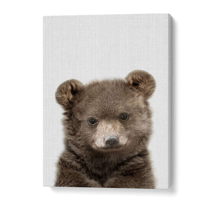 Peekaboo Baby Bear By Lola Peacock Kids Room Paintings in Gallery Wrap