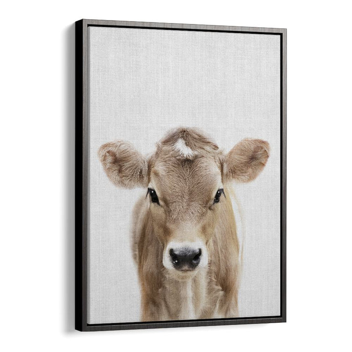 Peekaboo Baby Cow By Lola Peacock Kids Room Paintings in Black Floater Frame