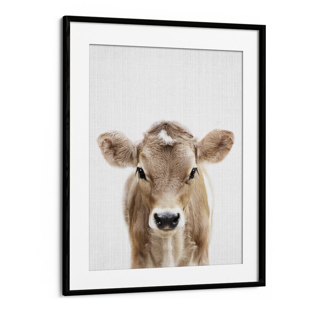 Peekaboo Baby Cow By Lola Peacock Kids Room Paintings in Black Frame With Mount