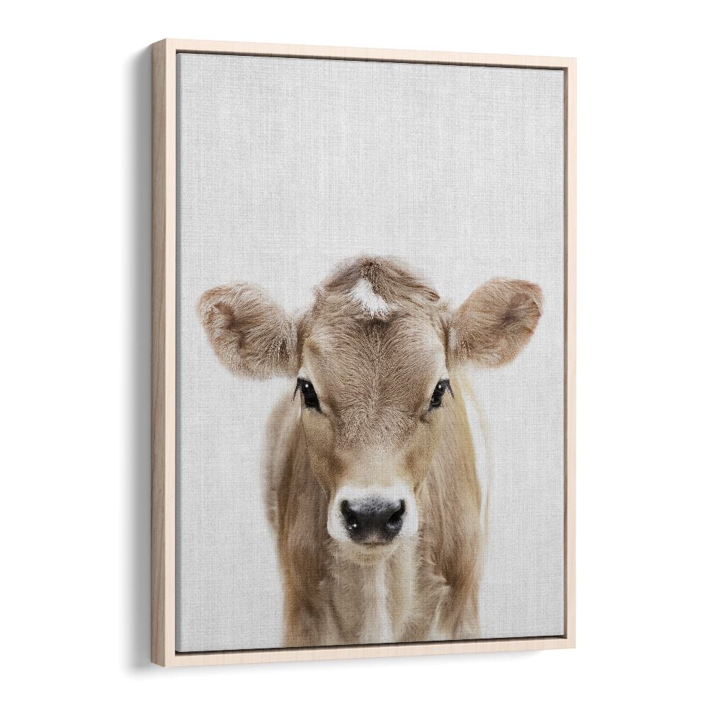 Peekaboo Baby Cow By Lola Peacock Kids Room Paintings in Oak Wood Floater Frame