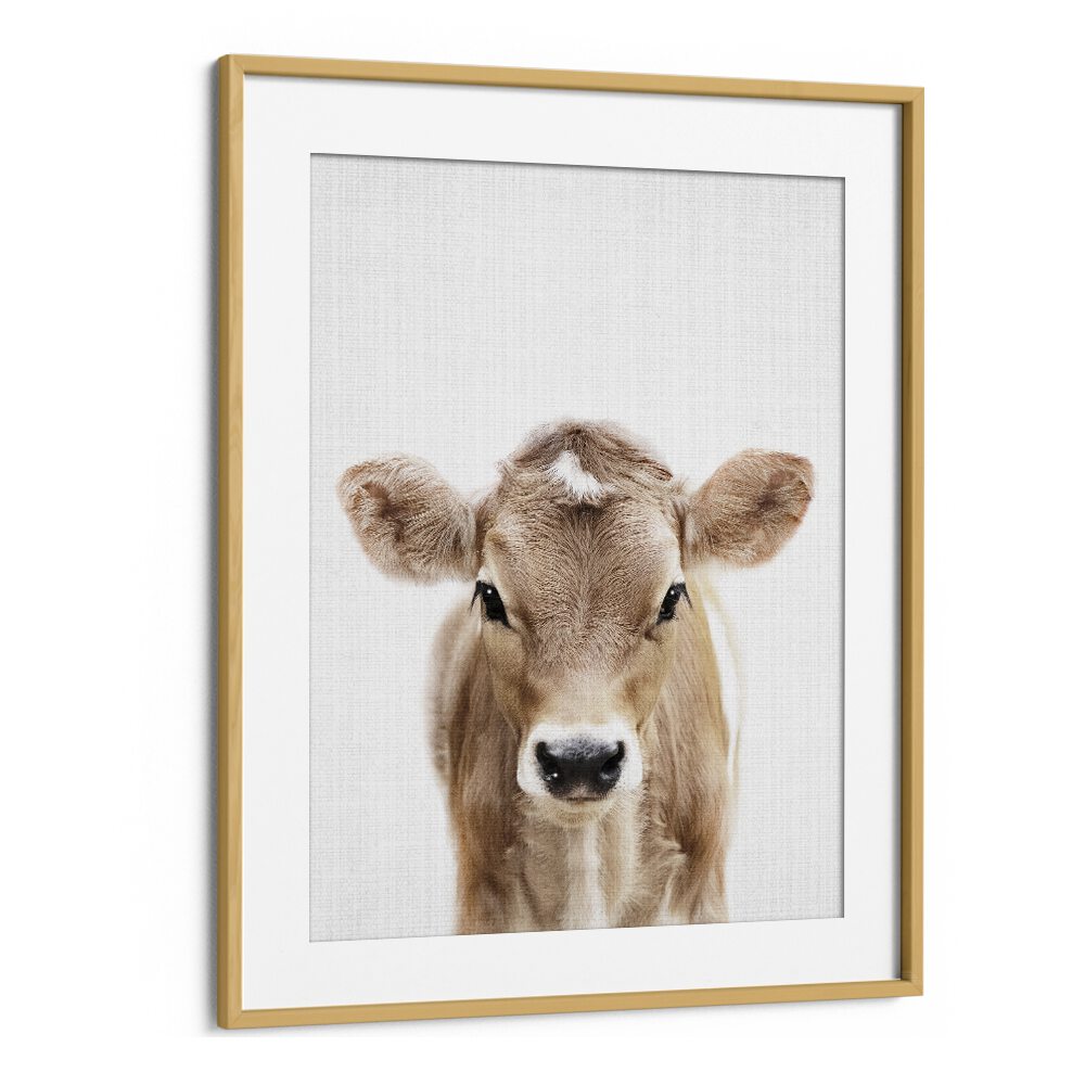 Peekaboo Baby Cow By Lola Peacock Kids Room Paintings in Oak Wood Frame With Mount