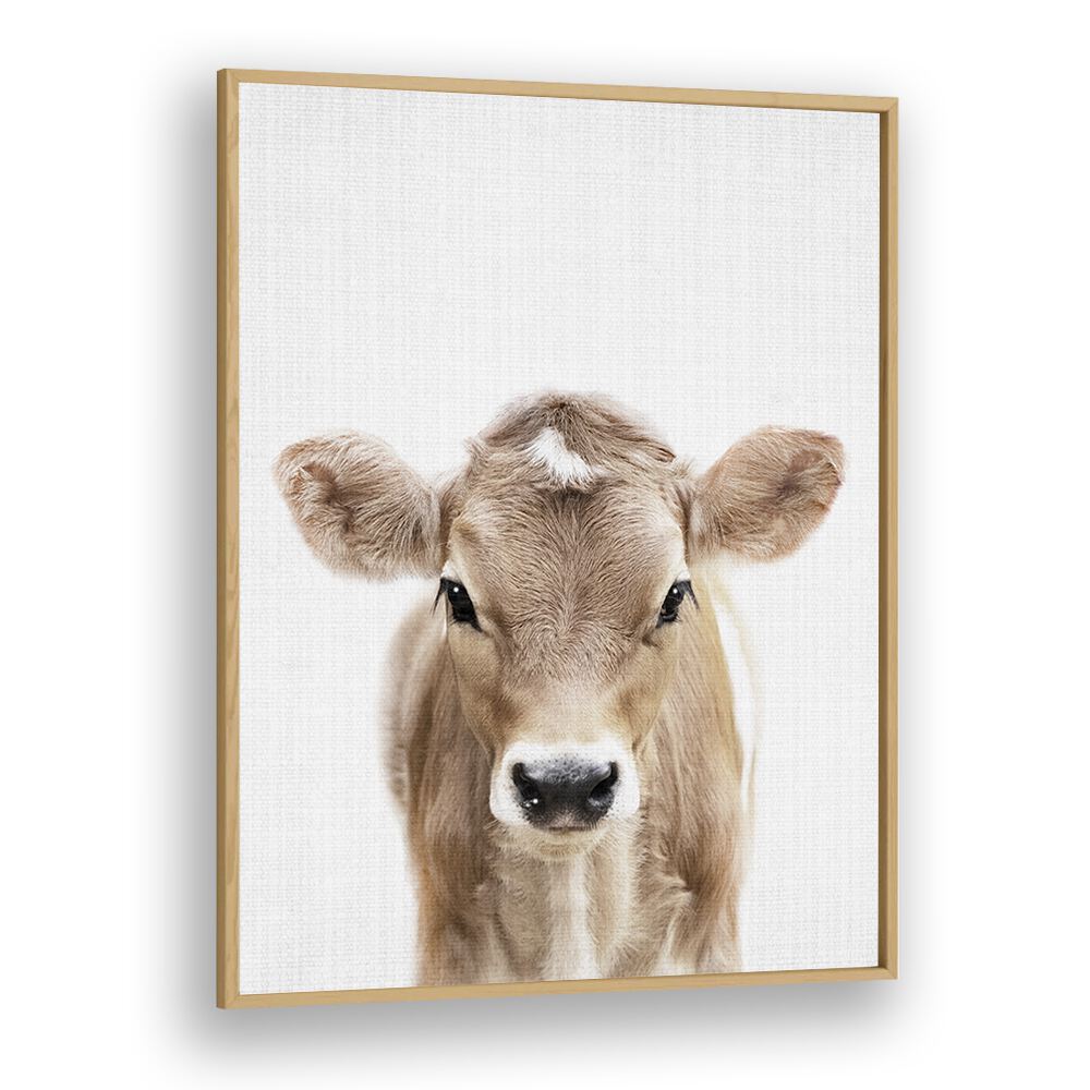 Peekaboo Baby Cow By Lola Peacock Kids Room Paintings in Oak Wood Plain Frame