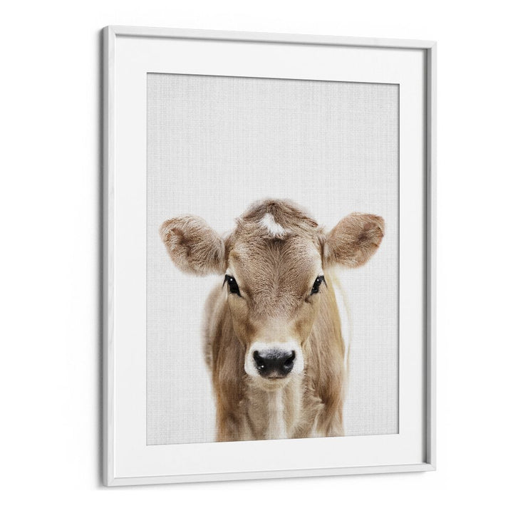 Peekaboo Baby Cow By Lola Peacock Kids Room Paintings in White Frame With Mount