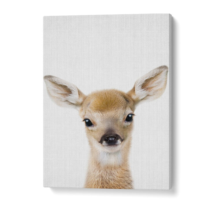 Peekaboo Baby Deer By Lola Peacock Kids Room Paintings in Gallery Wrap