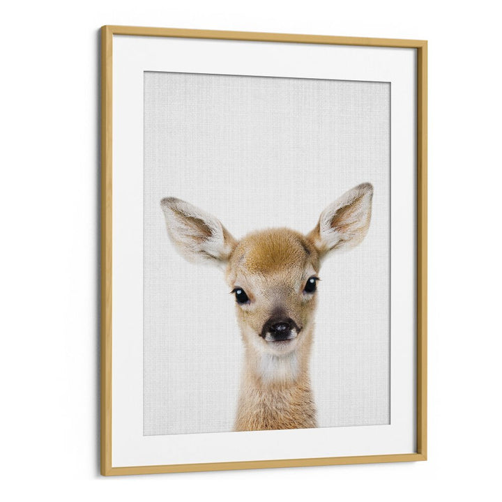 Peekaboo Baby Deer By Lola Peacock Kids Room Paintings in Oak Wood Frame With Mount