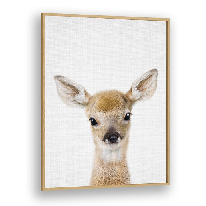 Peekaboo Baby Deer By Lola Peacock Kids Room Paintings in Oak Wood Plain Frame