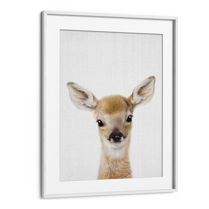 Peekaboo Baby Deer By Lola Peacock Kids Room Paintings in White Frame With Mount