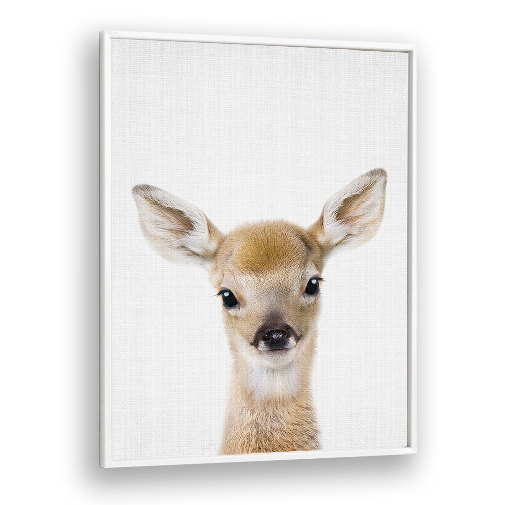 Peekaboo Baby Deer By Lola Peacock Kids Room Paintings in White Plain Frame