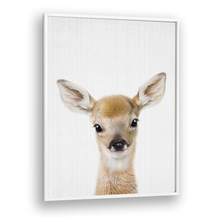 Peekaboo Baby Deer By Lola Peacock Kids Room Paintings in White Plain Frame