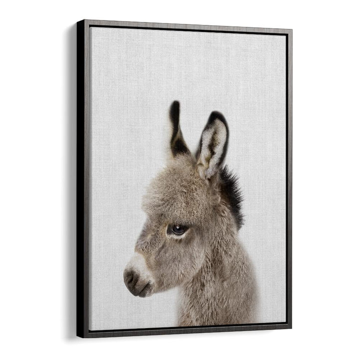 Peekaboo Baby Donkey By Lola Peacock Kids Room Paintings in Black Floater Frame