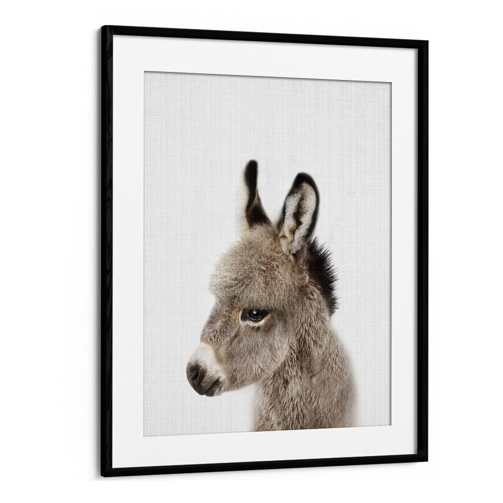 Peekaboo Baby Donkey By Lola Peacock Kids Room Paintings in Black Frame With Mount