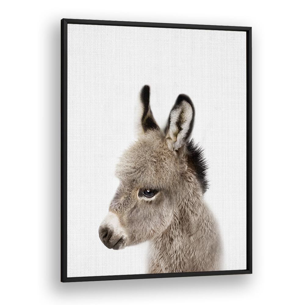 Peekaboo Baby Donkey By Lola Peacock Kids Room Paintings in Black Plain Frame