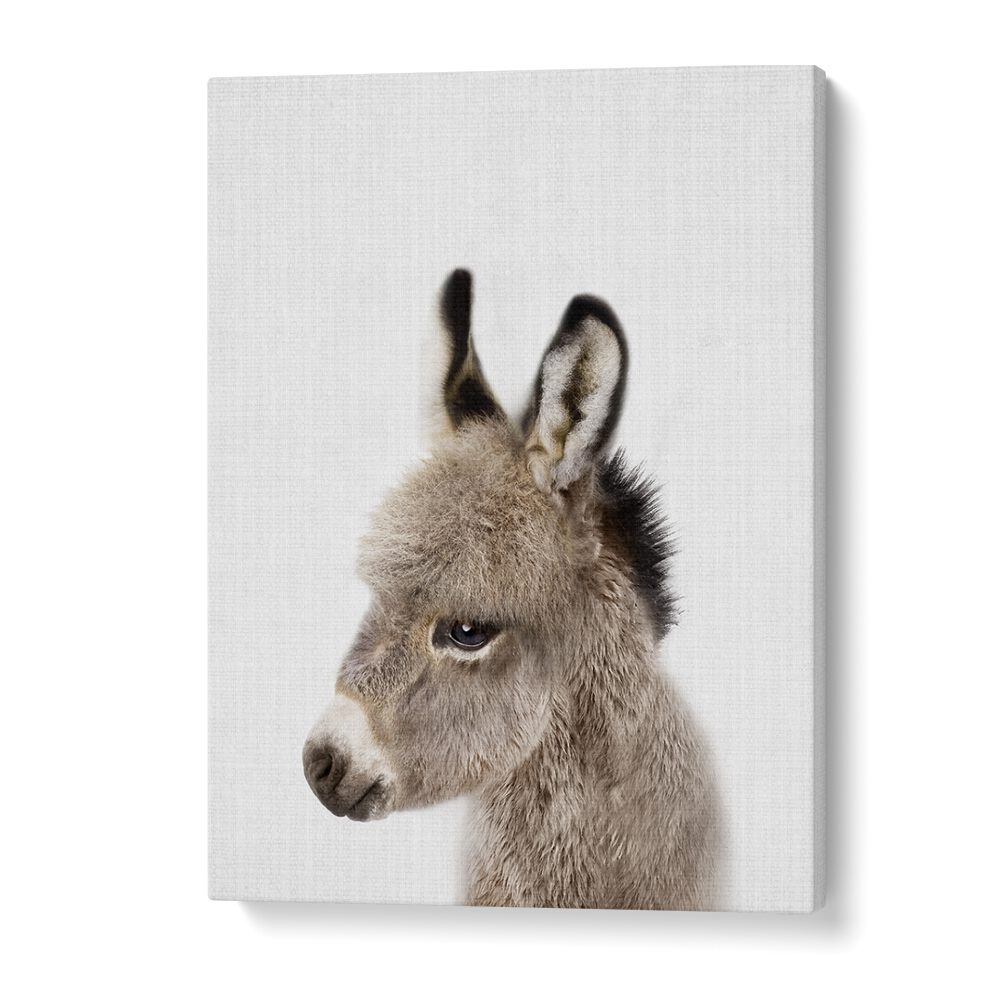 Peekaboo Baby Donkey By Lola Peacock Kids Room Paintings in Gallery Wrap