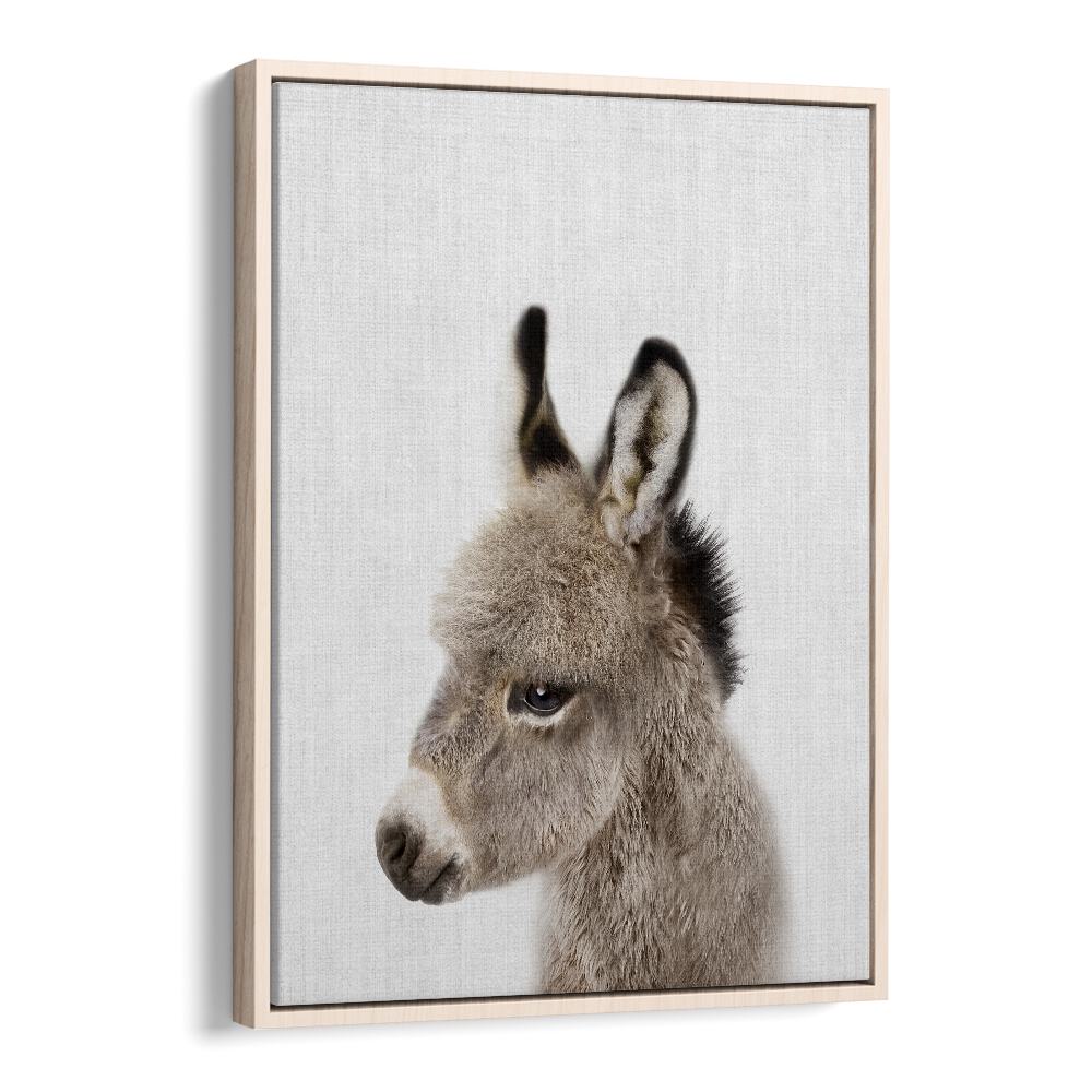 Peekaboo Baby Donkey By Lola Peacock Kids Room Paintings in Oak Wood Floater Frame