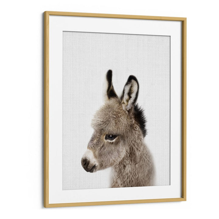 Peekaboo Baby Donkey By Lola Peacock Kids Room Paintings in Oak Wood Frame With Mount