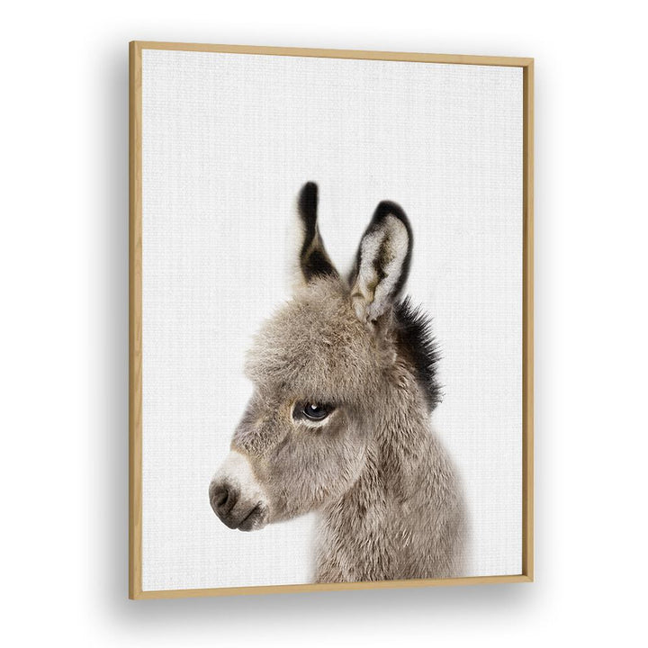 Peekaboo Baby Donkey By Lola Peacock Kids Room Paintings in Oak Wood Plain Frame