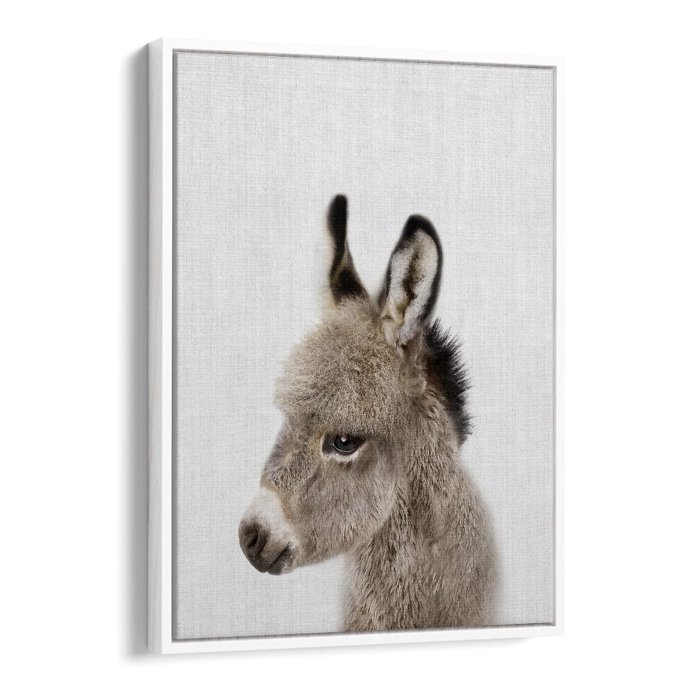 Peekaboo Baby Donkey By Lola Peacock Kids Room Paintings in White Floater Frame