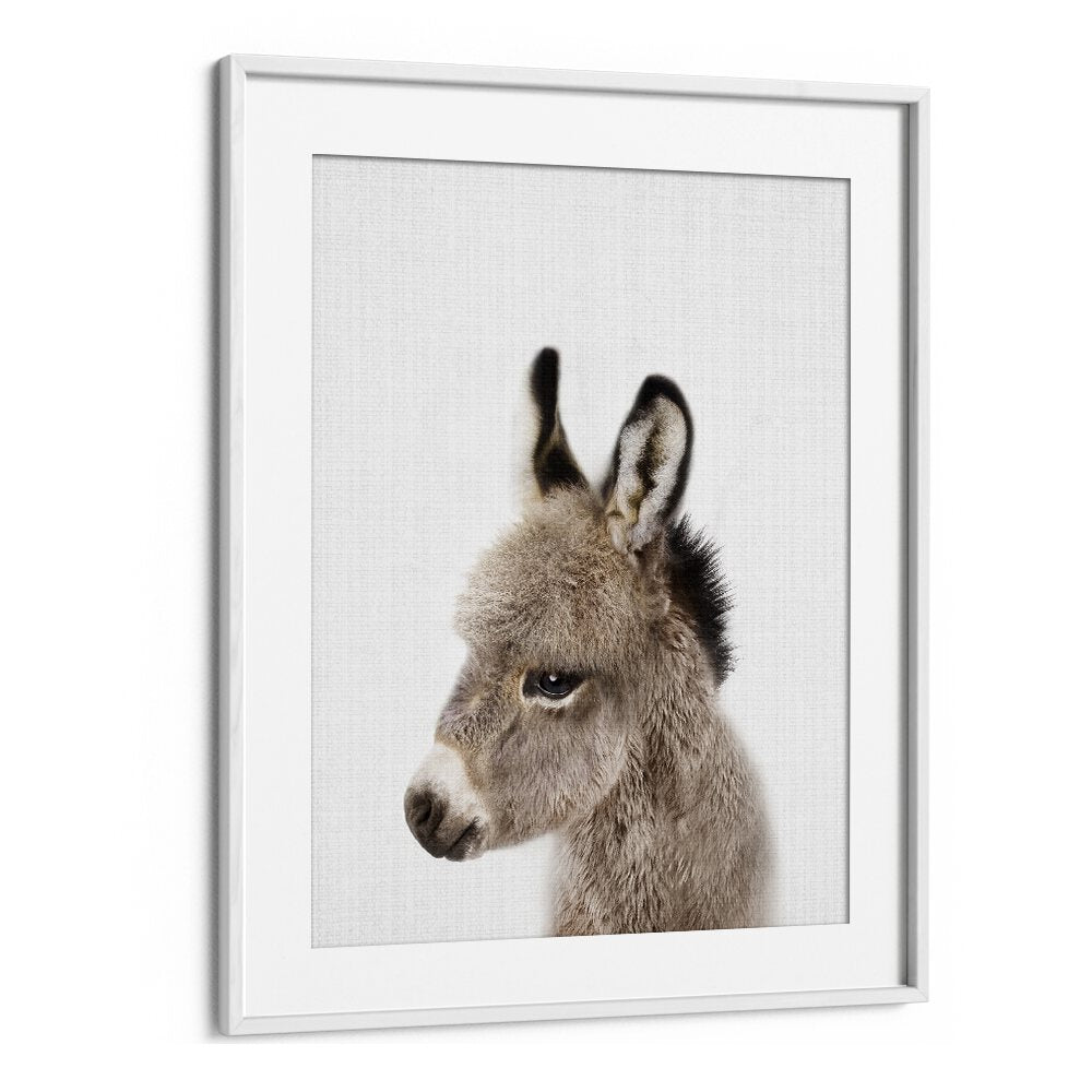 Peekaboo Baby Donkey By Lola Peacock Kids Room Paintings in White Frame With Mount