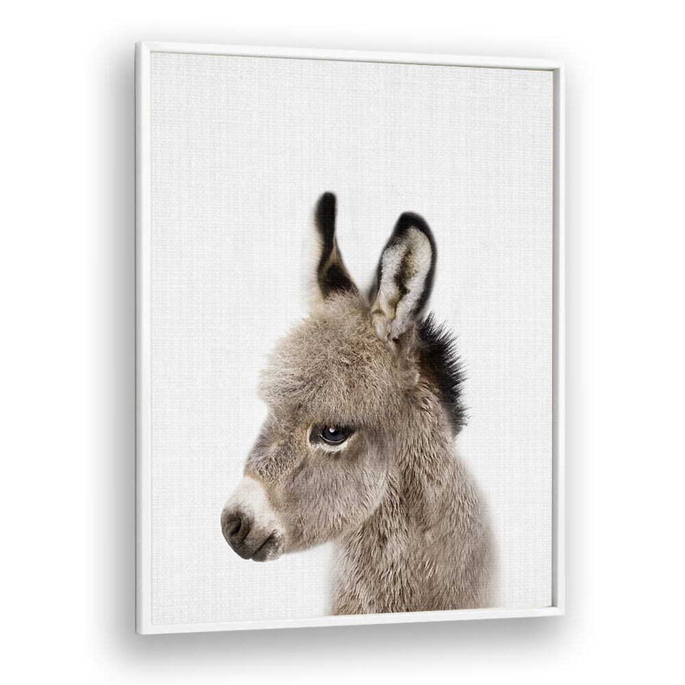 Peekaboo Baby Donkey By Lola Peacock Kids Room Paintings in White Plain Frame