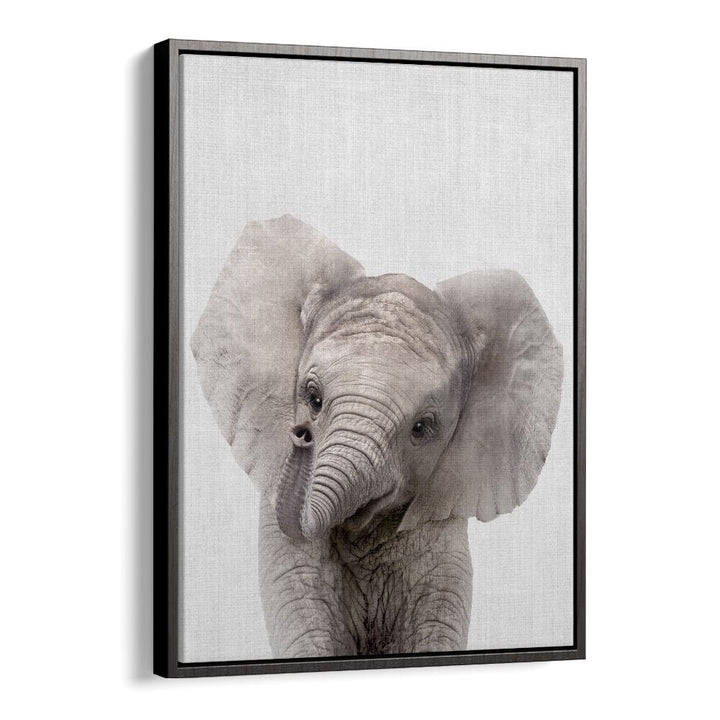 Peekaboo Baby Elephant By Lola Peacock Kids Room Paintings in Black Floater Frame