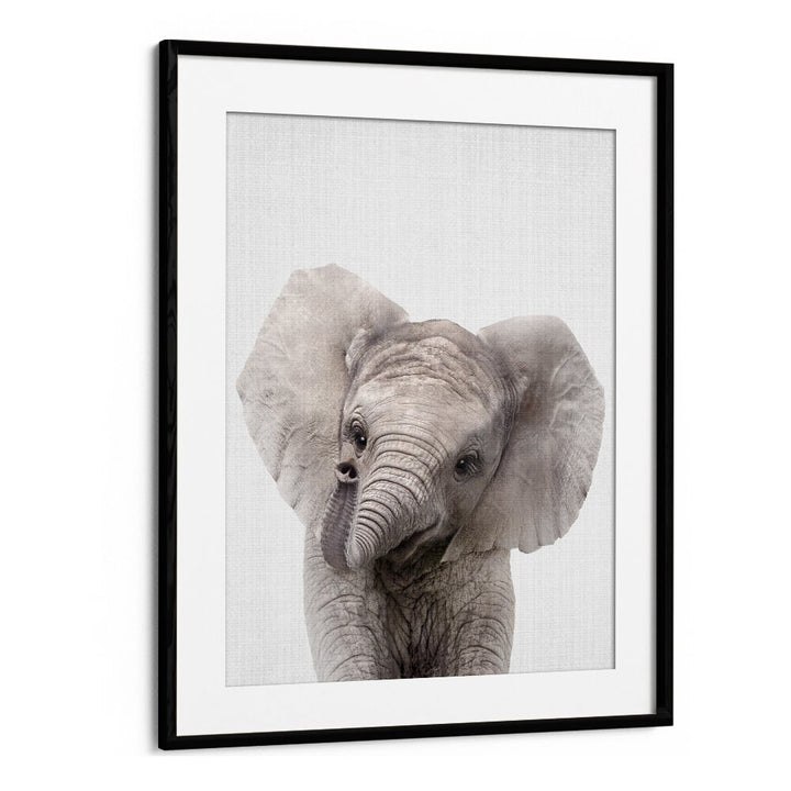 Peekaboo Baby Elephant By Lola Peacock Kids Room Paintings in Black Frame With Mount