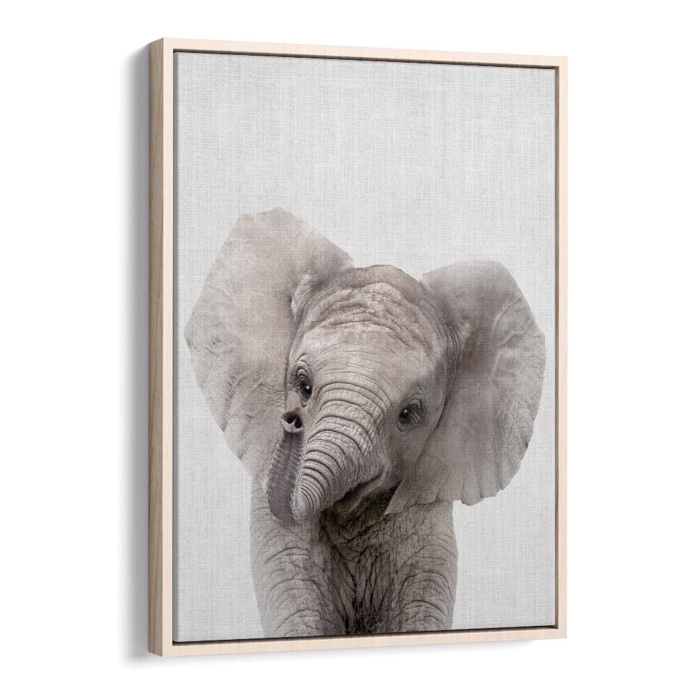 Peekaboo Baby Elephant By Lola Peacock Kids Room Paintings in Oak Wood Floater Frame