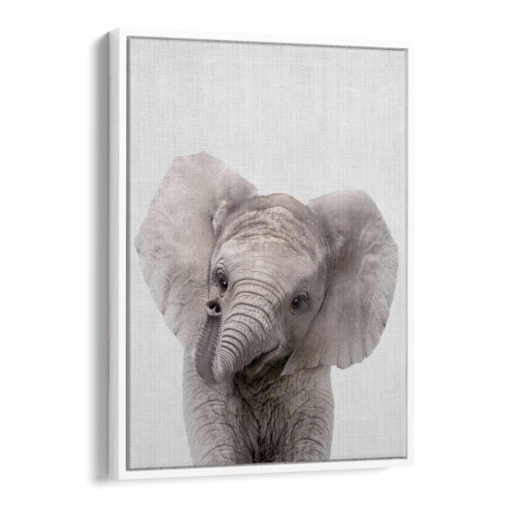 Peekaboo Baby Elephant By Lola Peacock Kids Room Paintings in White Floater Frame