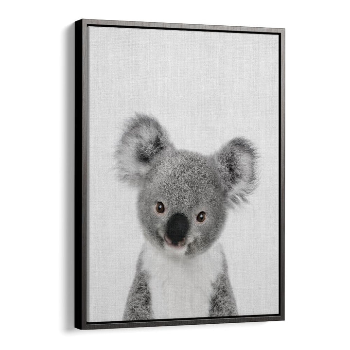 Peekaboo Baby Koala By Lola Peacock Kids Room Paintings in Black Floater Frame