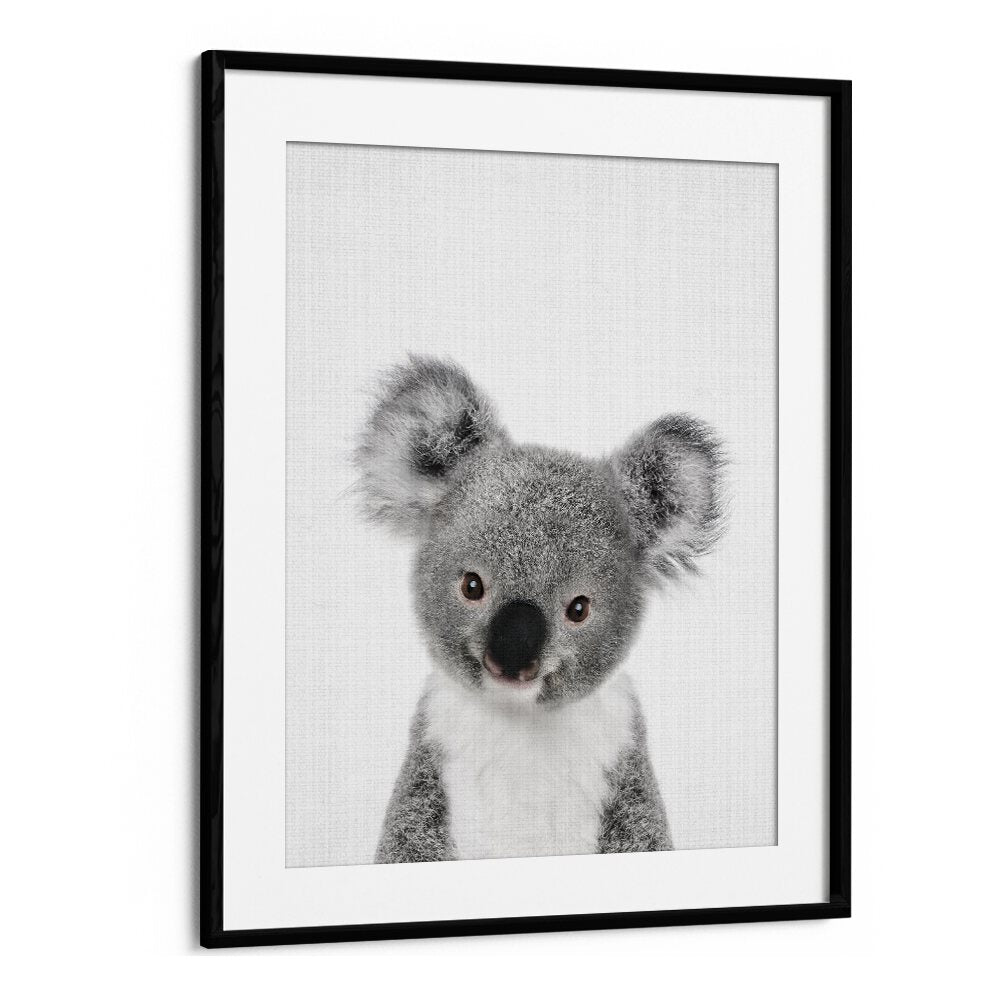 Peekaboo Baby Koala By Lola Peacock Kids Room Paintings in Black Frame With Mount