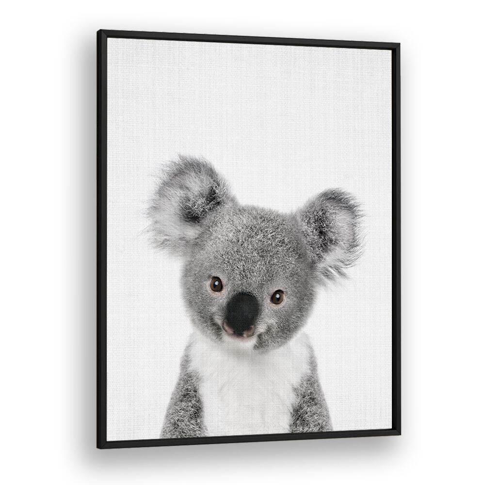 Peekaboo Baby Koala By Lola Peacock Kids Room Paintings in Black Plain Frame