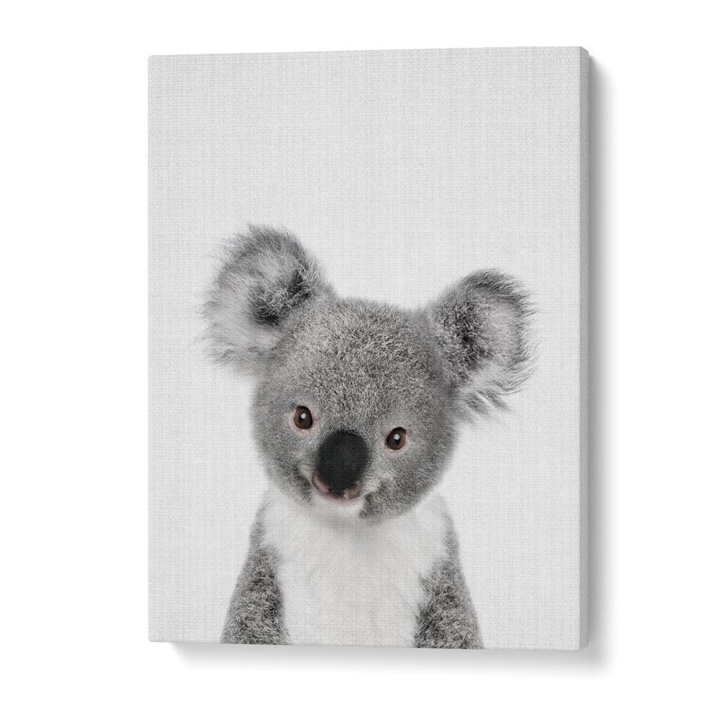 Peekaboo Baby Koala By Lola Peacock Kids Room Paintings in Gallery Wrap