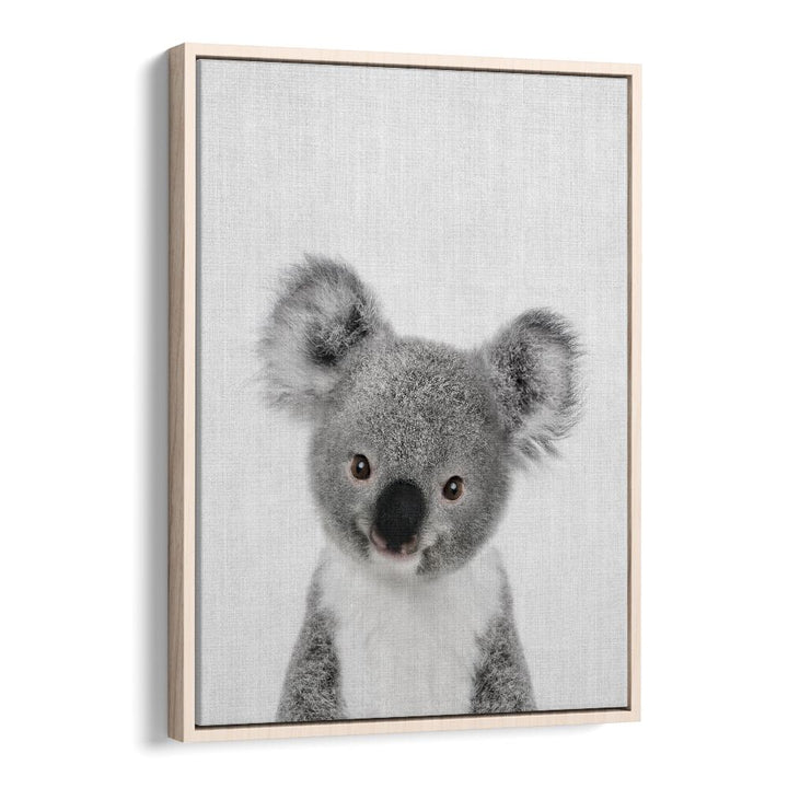 Peekaboo Baby Koala By Lola Peacock Kids Room Paintings in Oak Wood Floater Frame