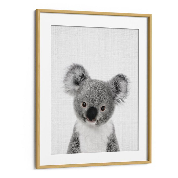 Peekaboo Baby Koala By Lola Peacock Kids Room Paintings in Oak Wood Frame With Mount