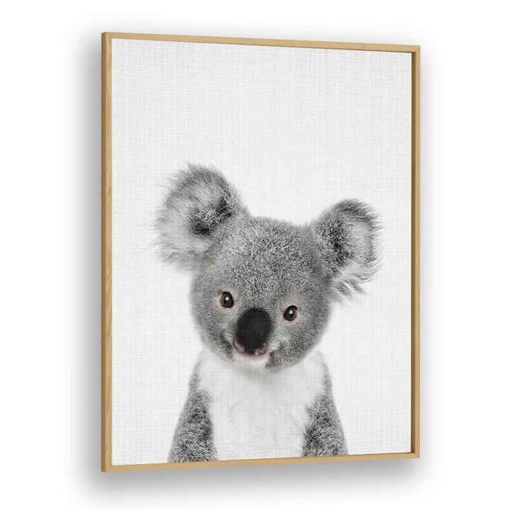 Peekaboo Baby Koala By Lola Peacock Kids Room Paintings in Oak Wood Plain Frame