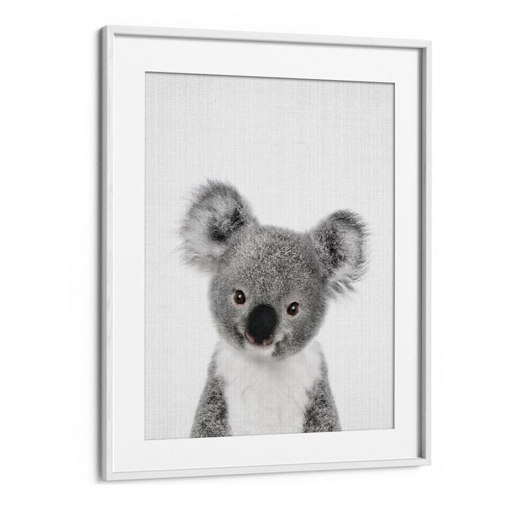 Peekaboo Baby Koala By Lola Peacock Kids Room Paintings in White Frame With Mount