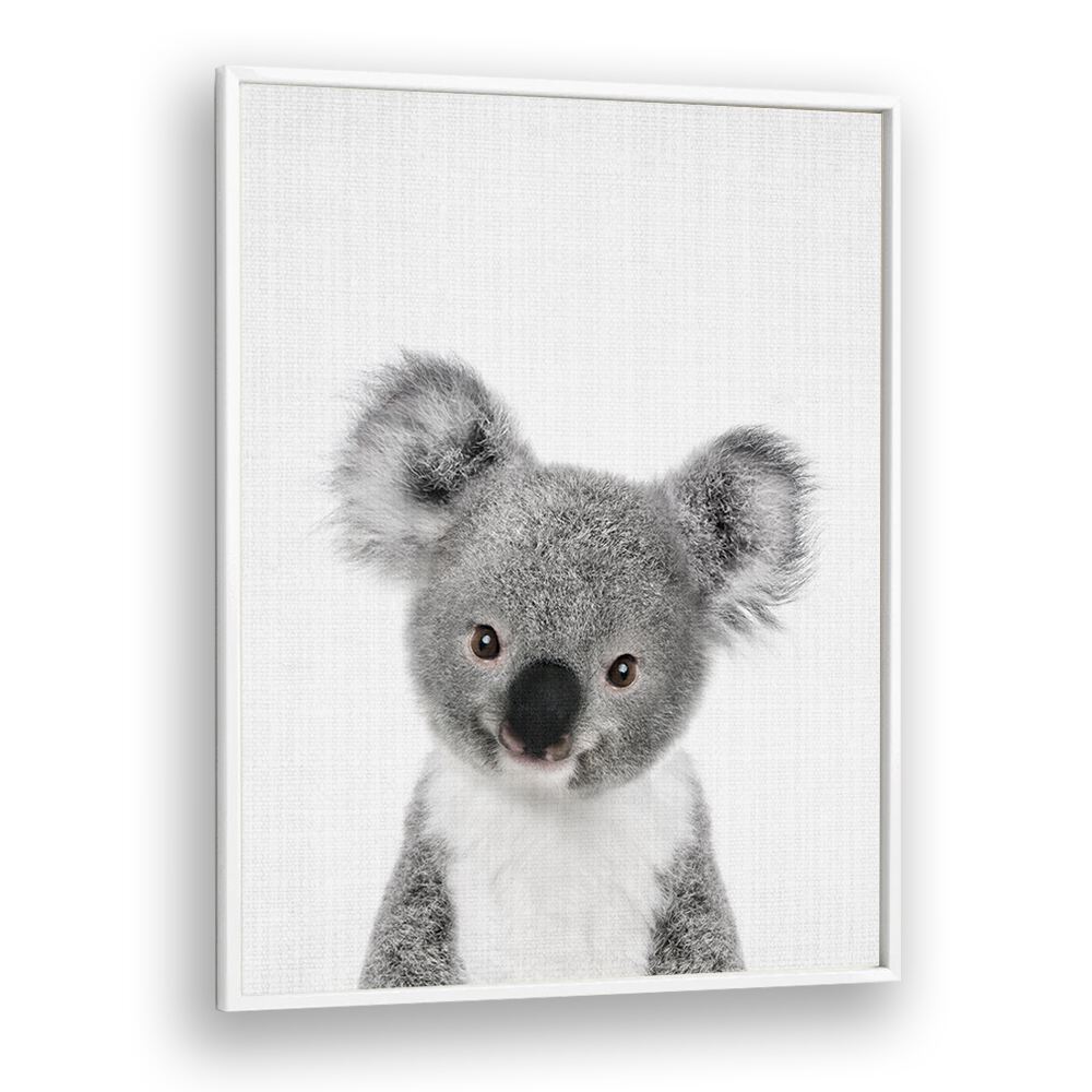 Peekaboo Baby Koala By Lola Peacock Kids Room Paintings in White Plain Frame