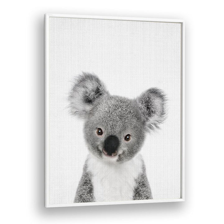 Peekaboo Baby Koala By Lola Peacock Kids Room Paintings in White Plain Frame