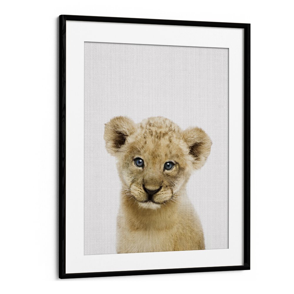 Peekaboo Baby Lion By Lola Peacock Kids Room Paintings in Black Frame With Mount