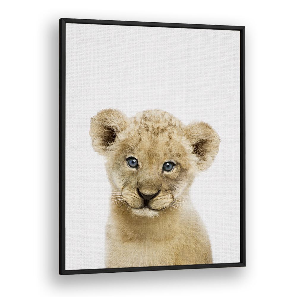 Peekaboo Baby Lion By Lola Peacock Kids Room Paintings in Black Plain Frame