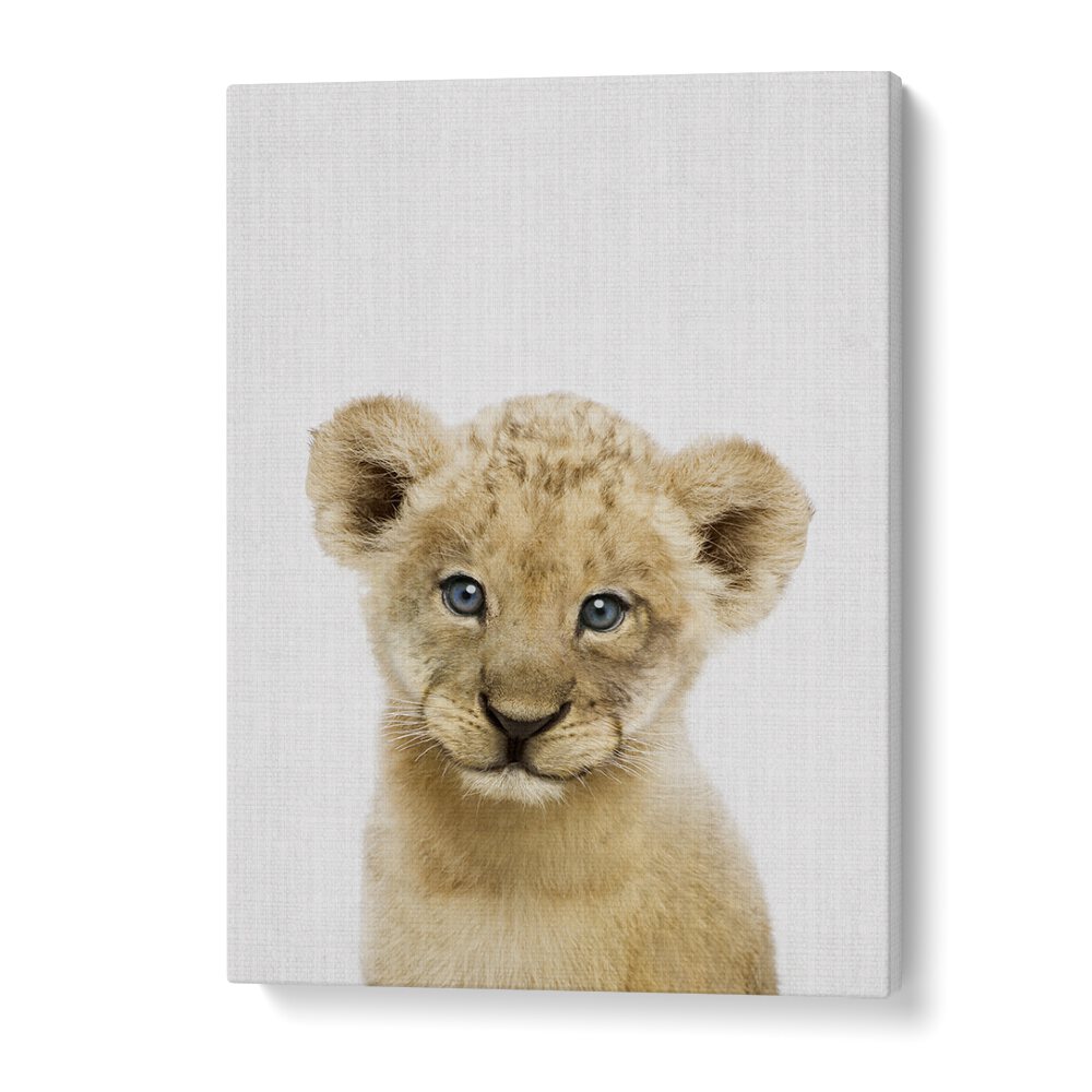 Peekaboo Baby Lion By Lola Peacock Kids Room Paintings in Gallery Wrap